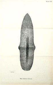 n366_w1150