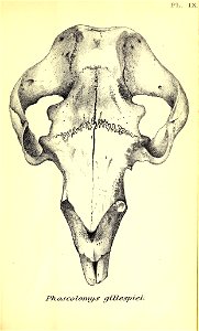 n276_w1150