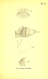 n186_w1150
