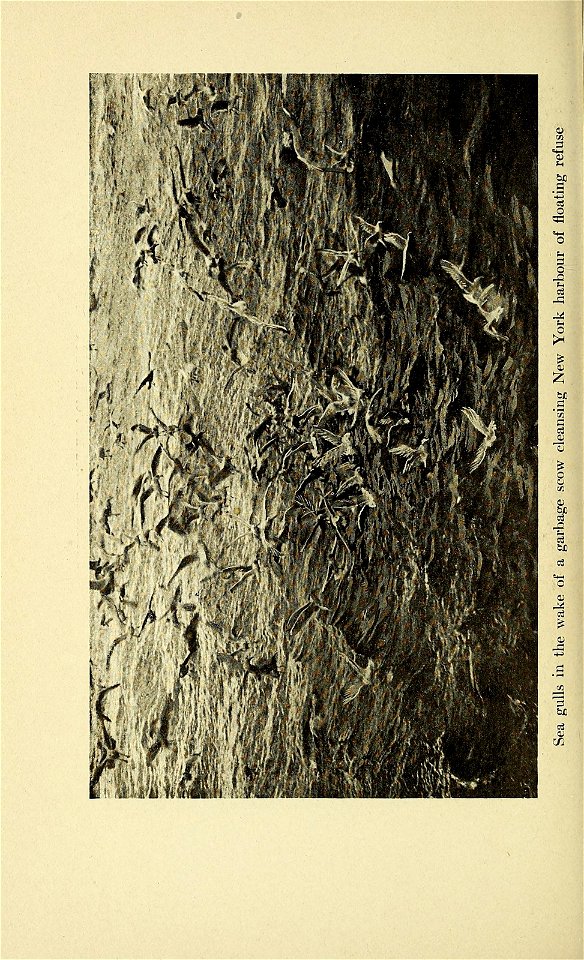 n353_w1150