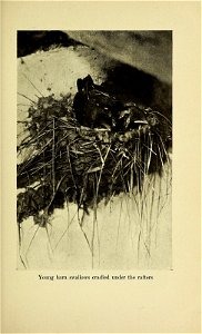 n134_w1150