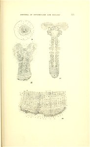 n258_w1150