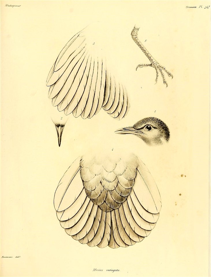 n112_w1150