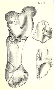 n360_w1150