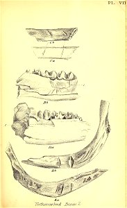 n268_w1150