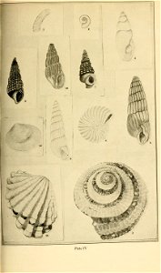 n136_w1150