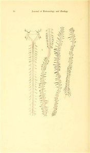 n45_w1150