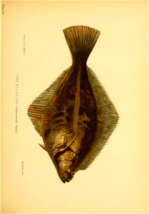 n114_w1150