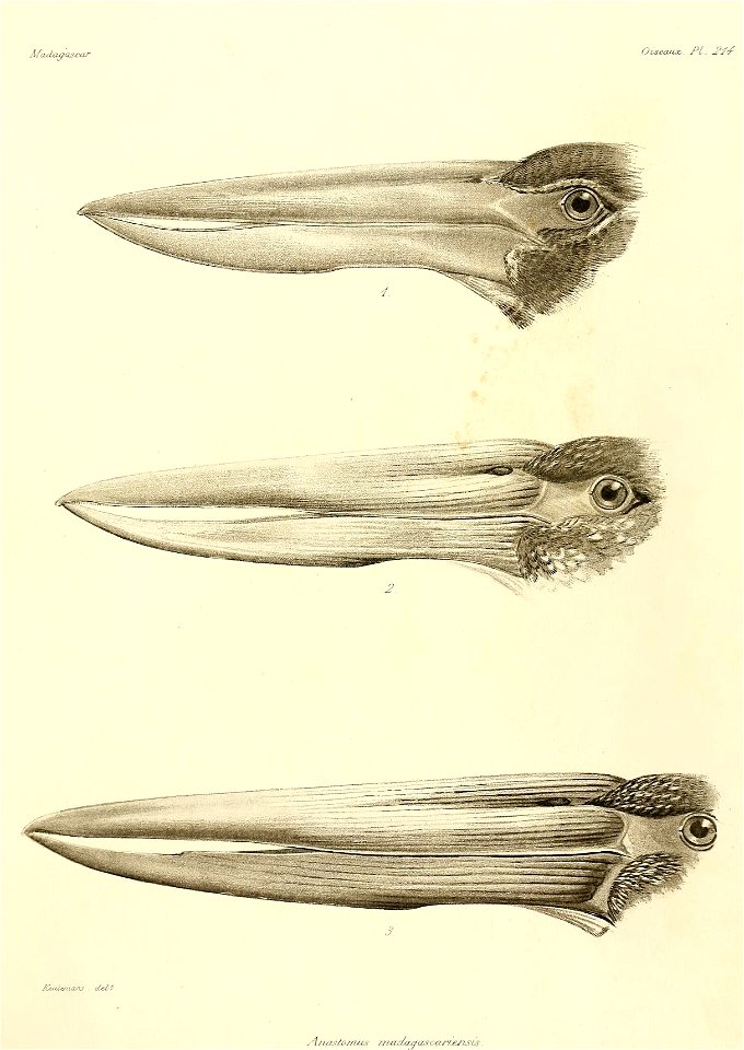 n20_w1150