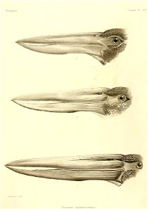 n20_w1150