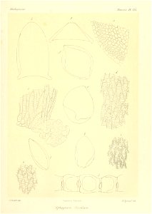 n892_w1150
