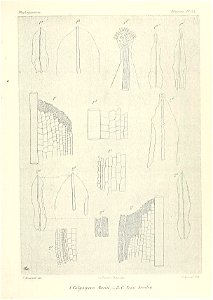 n682_w1150