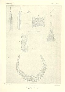 n652_w1150