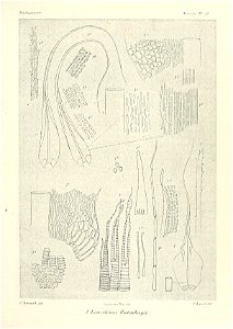 n622_w1150