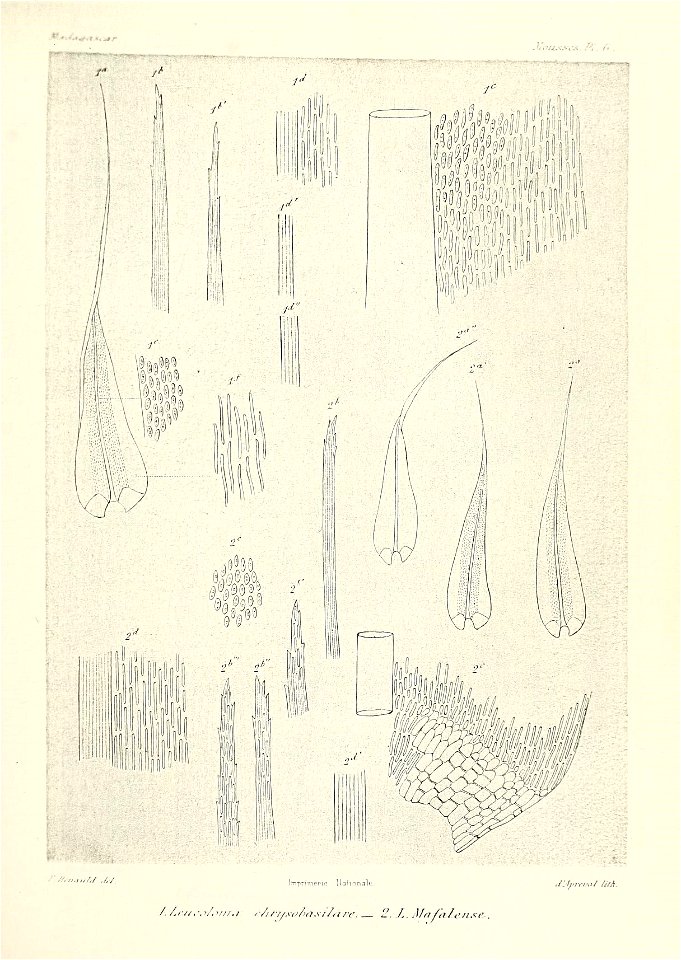 n592_w1150