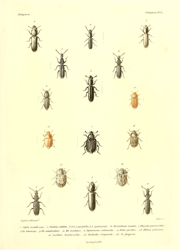 n592_w1150