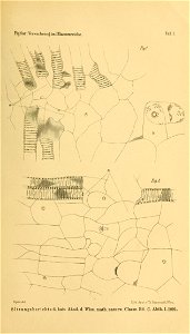 n222_w1150