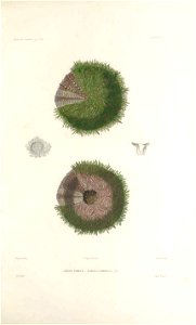 n146_w1150