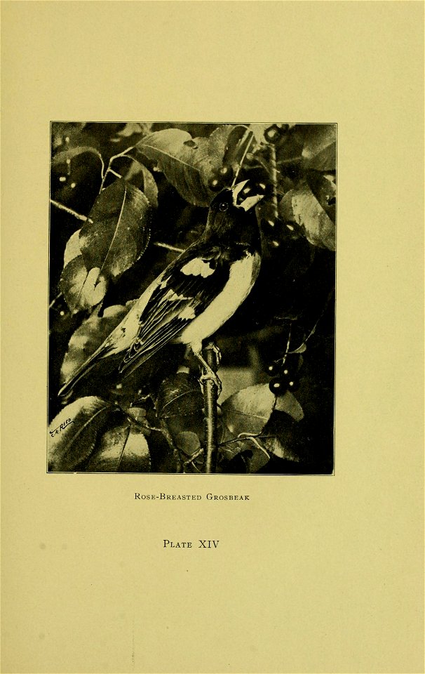 n130_w1150