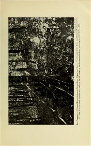 n222_w1150