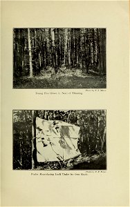 n166_w1150