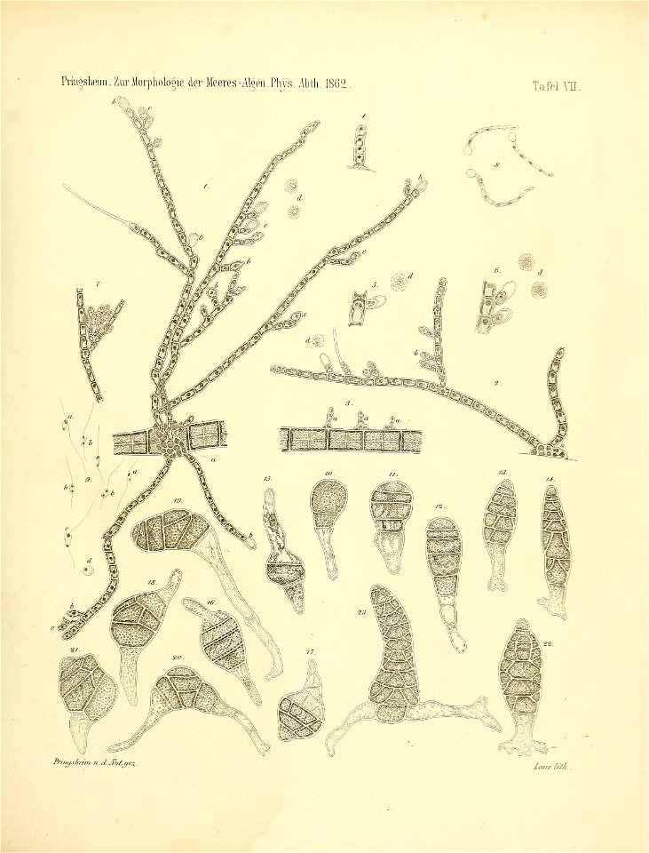 n56_w1150