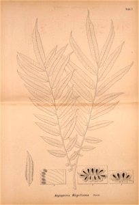 n530_w1150