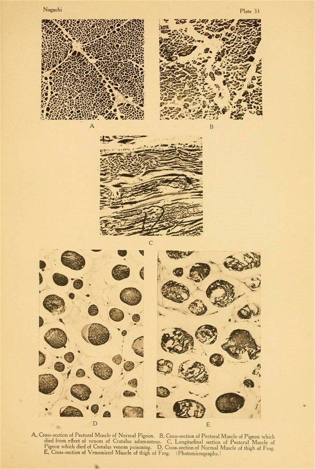 n302_w1150