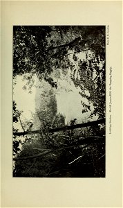 n284_w1150