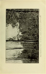 n218_w1150