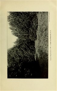 n216_w1150