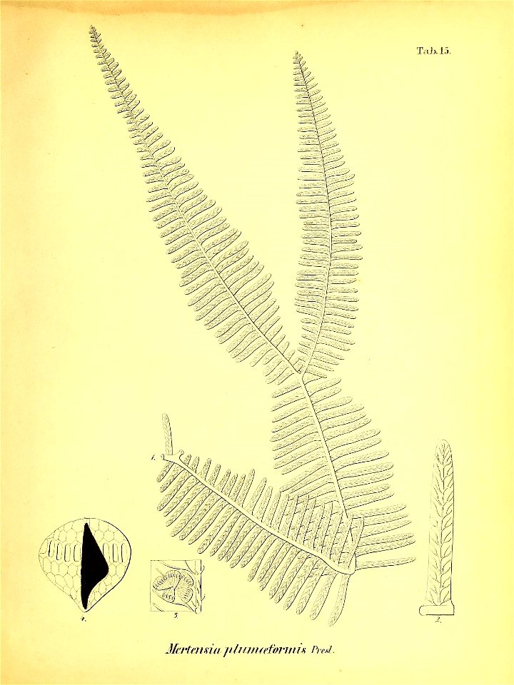n560_w1150