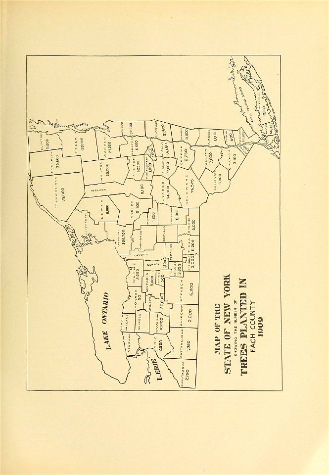 n366_w1150