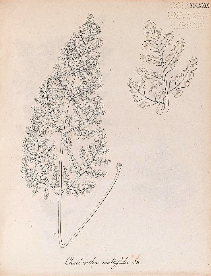 n122_w1150