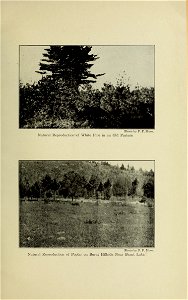 n154_w1150