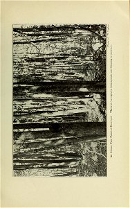 n210_w1150