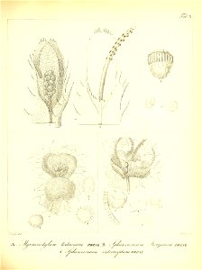 n216_w1150