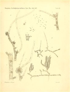 n48_w1150