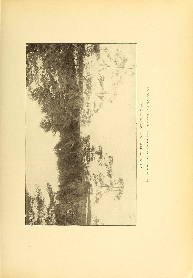 n114_w1150