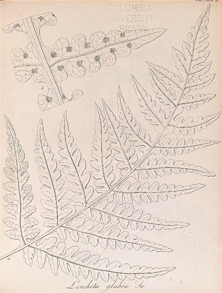 n118_w1150