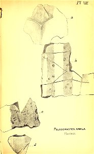 n200_w1150