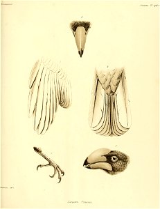 n206_w1150