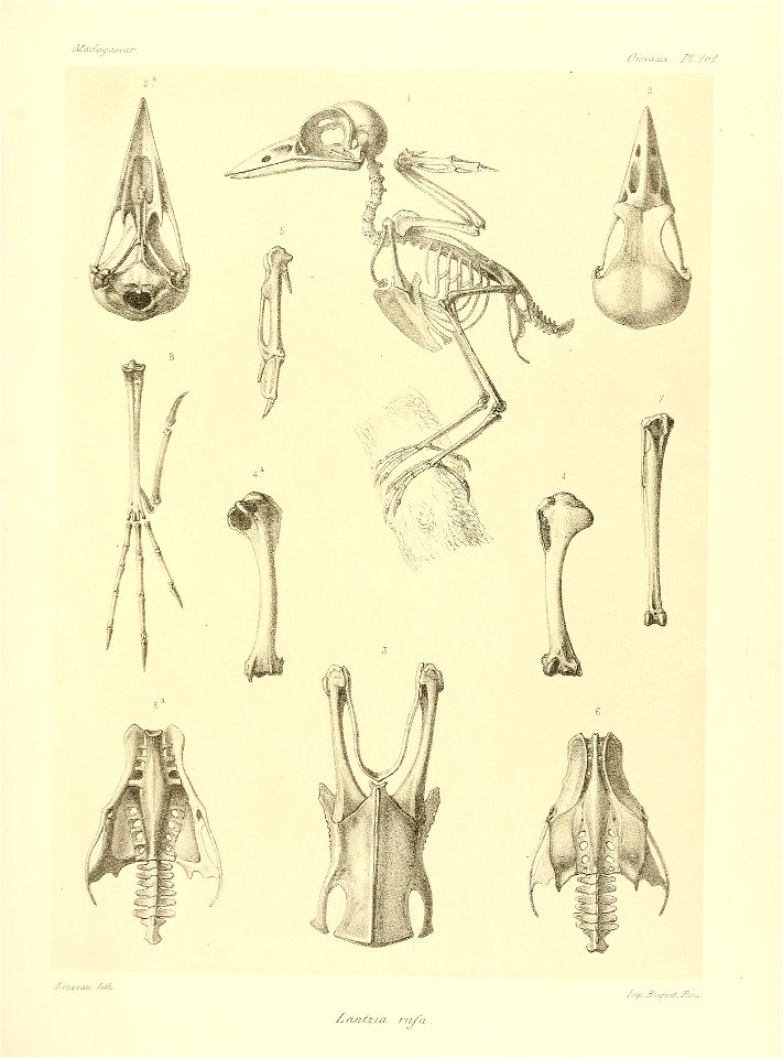 n176_w1150