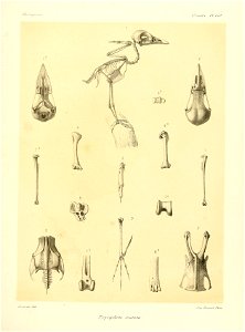n146_w1150