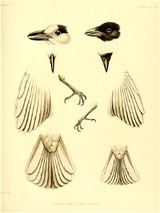 n174_w1150