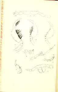 n77_w1150