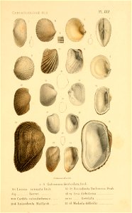 n164_w1150