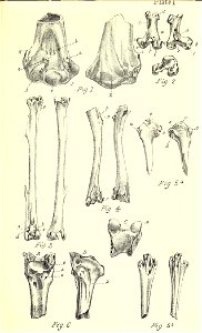 n338_w1150