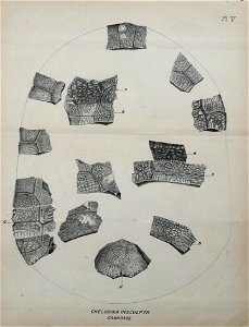n192_w1150
