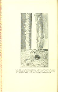 n69_w1150